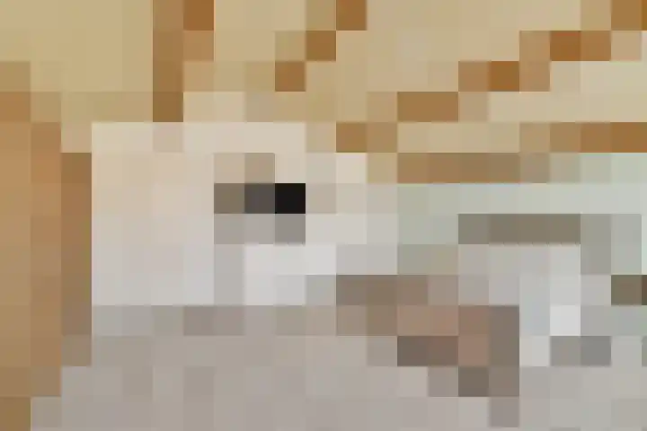 Componistenlaan 117 Gouda thumbnail 17