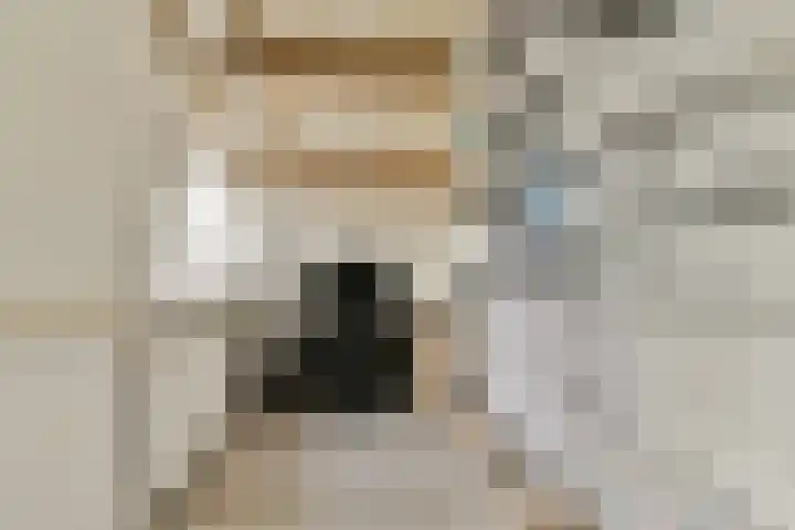 Componistenlaan 117 Gouda thumbnail 18