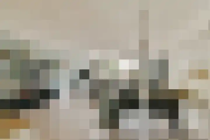 Componistenlaan 117 Gouda thumbnail 4