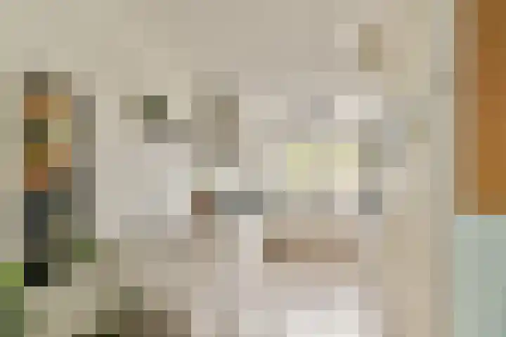Componistenlaan 117 Gouda thumbnail 8