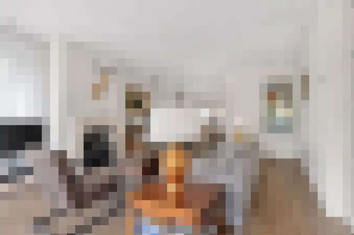 Componistenlaan 127 Sint-Oedenrode thumbnail 8
