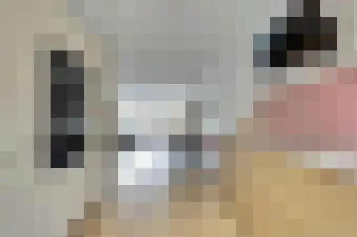 Componistenlaan 146 Gouda thumbnail 11