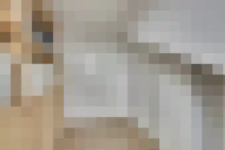 Componistenlaan 146 Gouda thumbnail 28