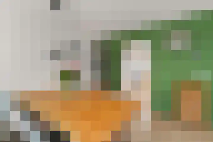 Componistenlaan 150 Gouda thumbnail 11