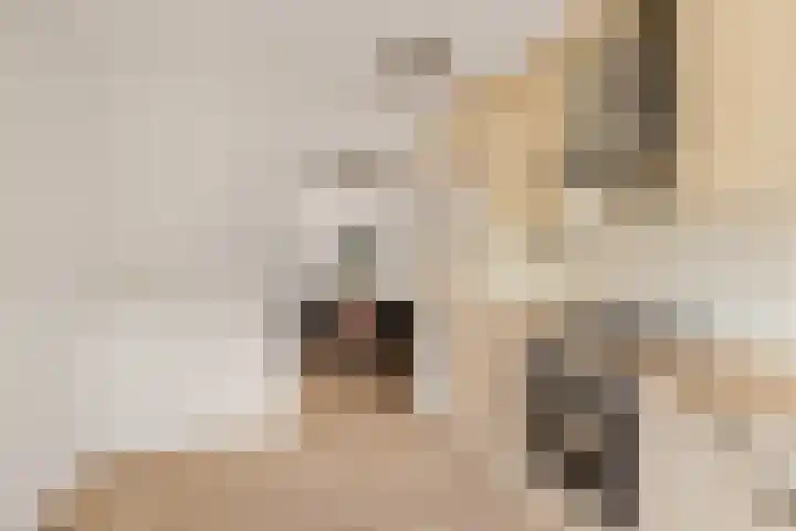 Componistenlaan 150 Gouda thumbnail 15