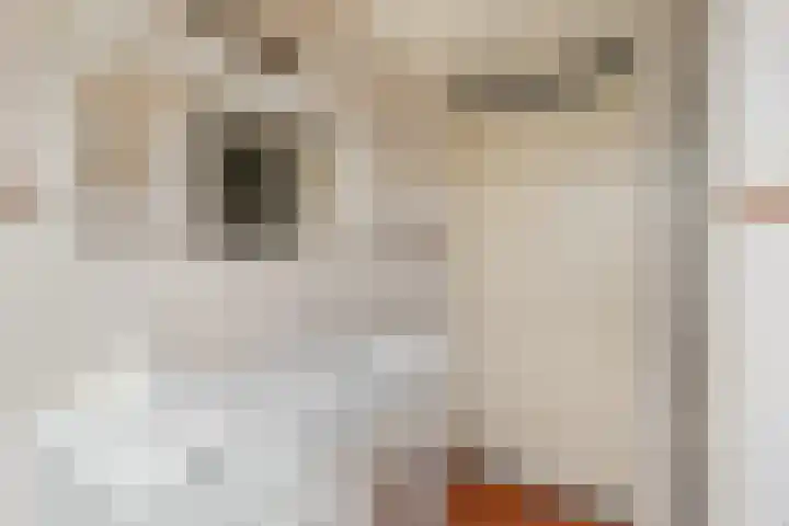 Componistenlaan 150 Gouda thumbnail 23