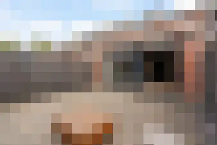 Componistenlaan 150 Gouda thumbnail 29