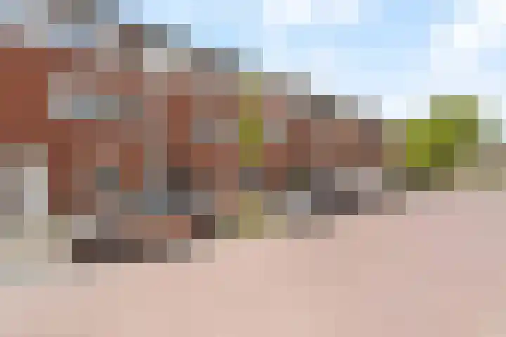 Componistenlaan 150 Gouda thumbnail 31