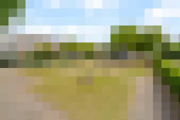 Componistenlaan 150 Gouda thumbnail 33