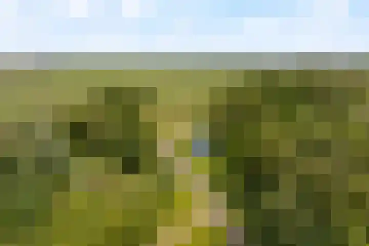 Componistenlaan 150 Gouda thumbnail 34