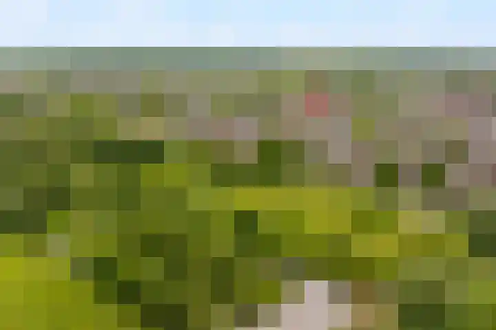 Componistenlaan 150 Gouda thumbnail 4