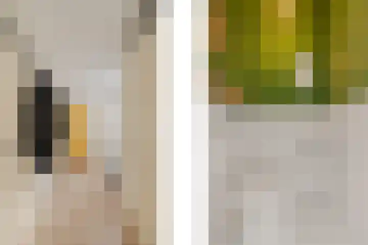 Componistenlaan 150 Gouda thumbnail 6