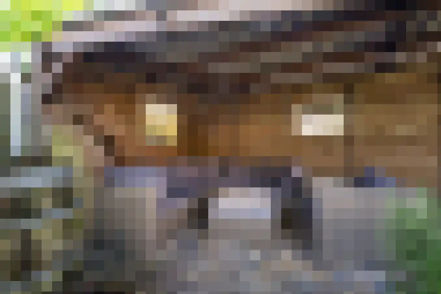 Componistenlaan 164 Gouda thumbnail 29