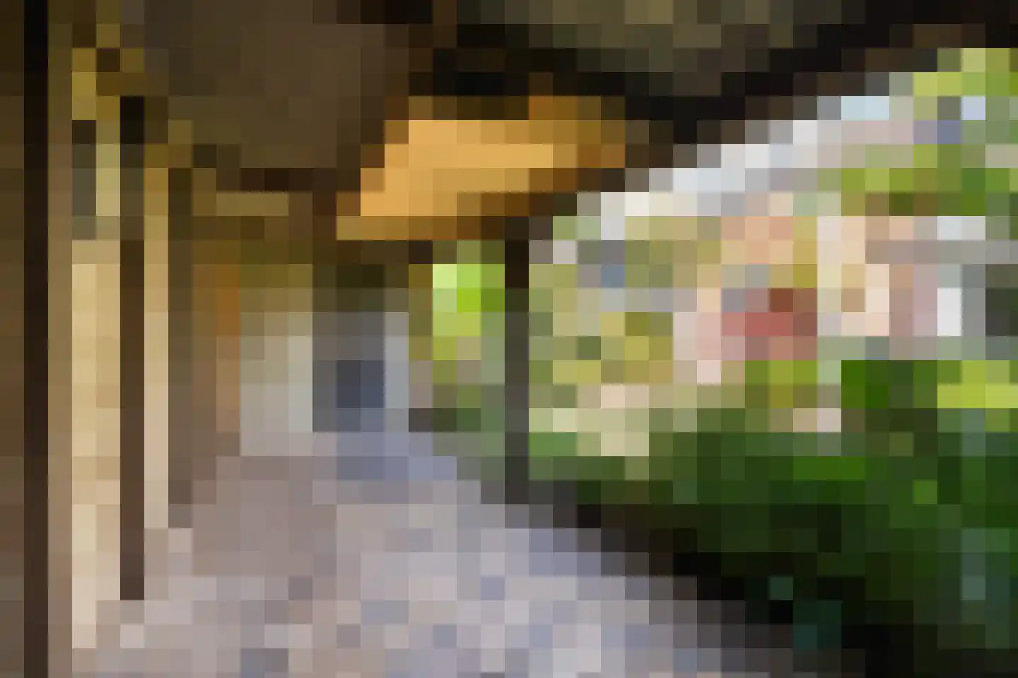 Componistenlaan 164 Gouda thumbnail 30