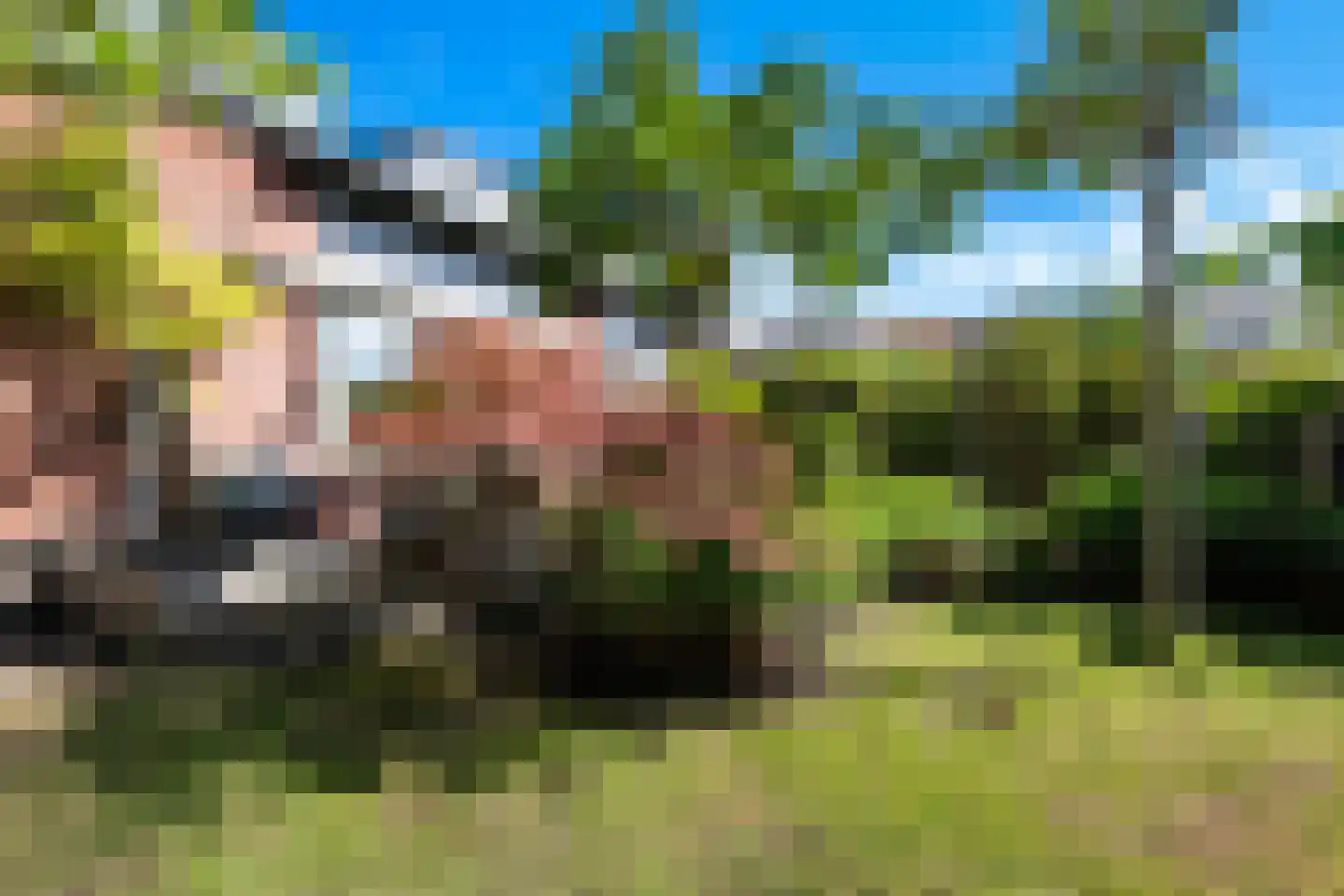 Componistenlaan 164 Gouda thumbnail 33