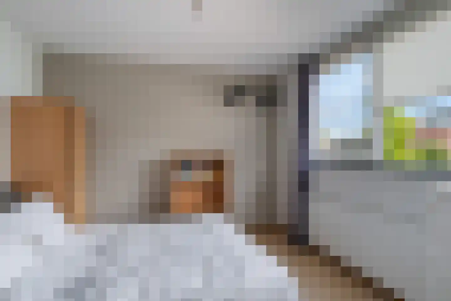 Componistenlaan 164 Gouda thumbnail 38