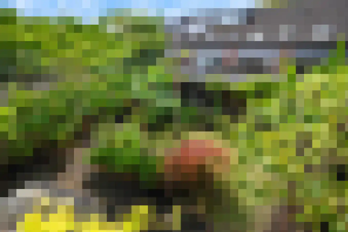 Componistenlaan 164 Gouda thumbnail 54