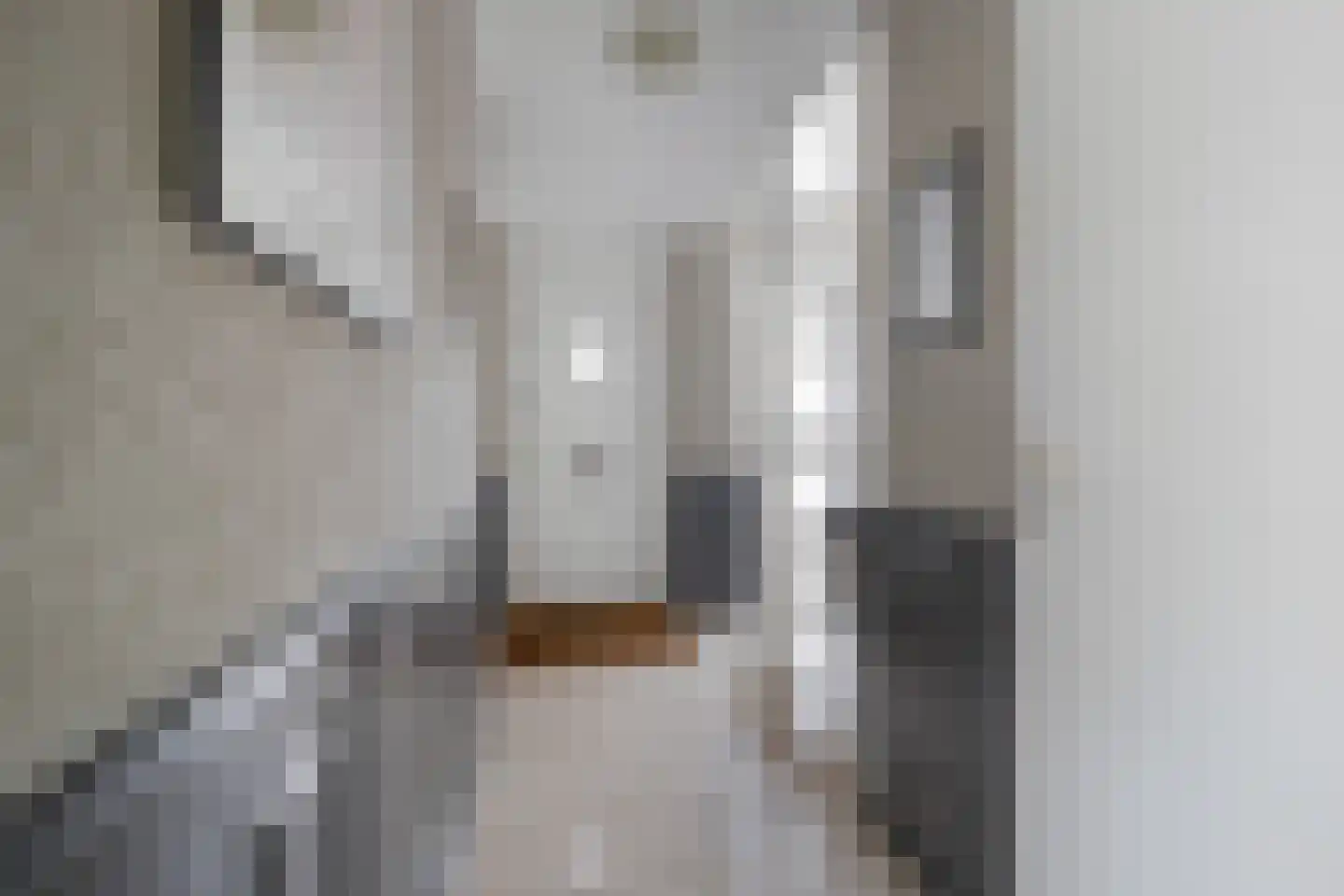 Componistenlaan 164 Gouda thumbnail 8