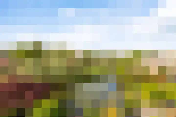 Componistenlaan 172 Gouda thumbnail 19