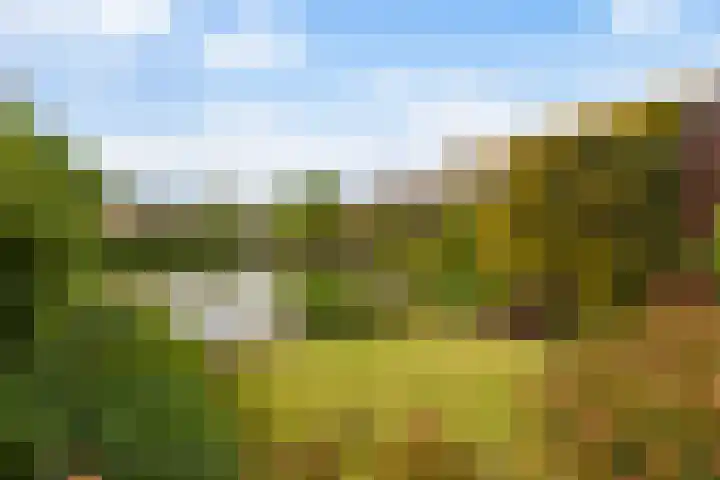 Componistenlaan 172 Gouda thumbnail 20