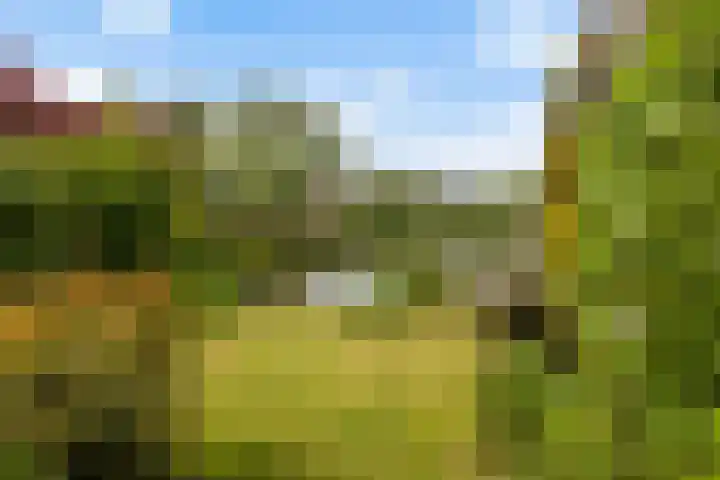 Componistenlaan 172 Gouda thumbnail 21