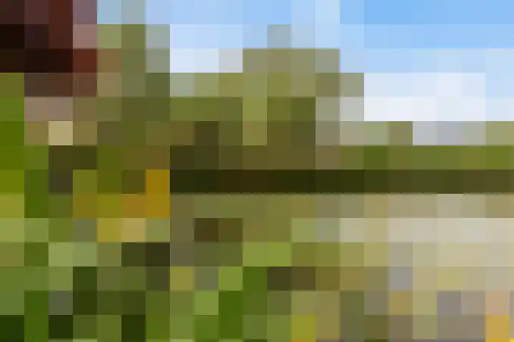 Componistenlaan 172 Gouda thumbnail 25