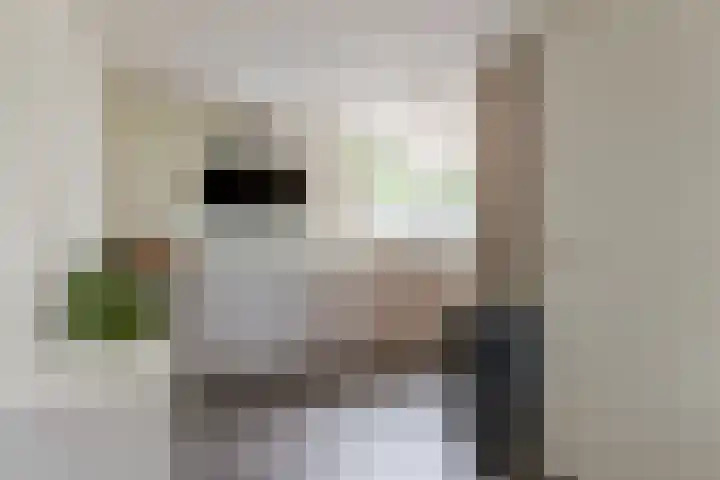 Componistenlaan 172 Gouda thumbnail 29