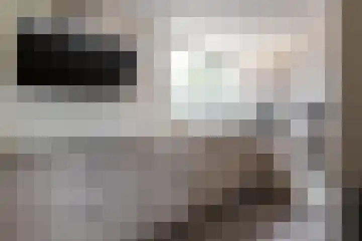 Componistenlaan 172 Gouda thumbnail 30