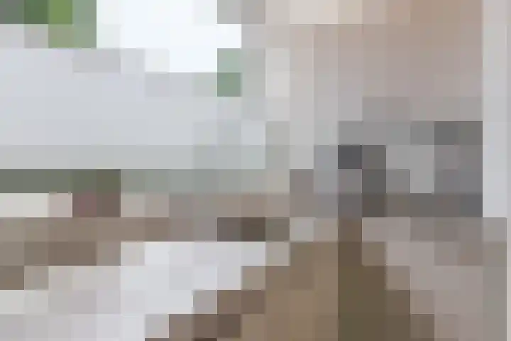 Componistenlaan 172 Gouda thumbnail 31
