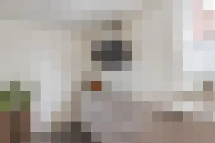 Componistenlaan 172 Gouda thumbnail 32
