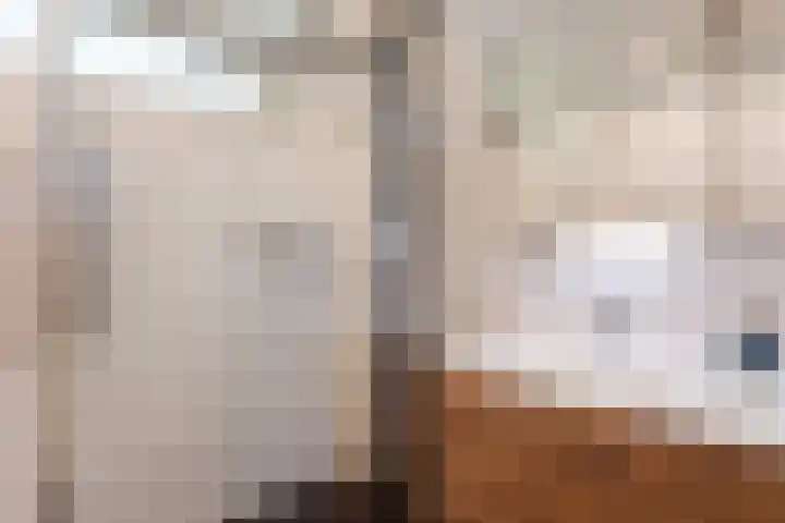 Componistenlaan 172 Gouda thumbnail 46