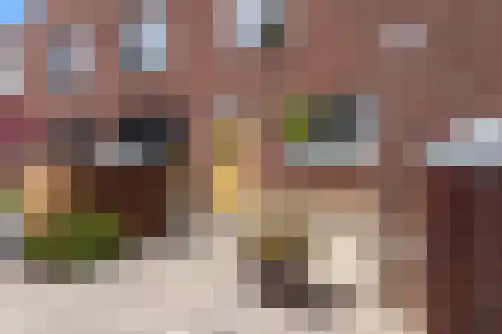 Componistenlaan 172 Gouda thumbnail 5
