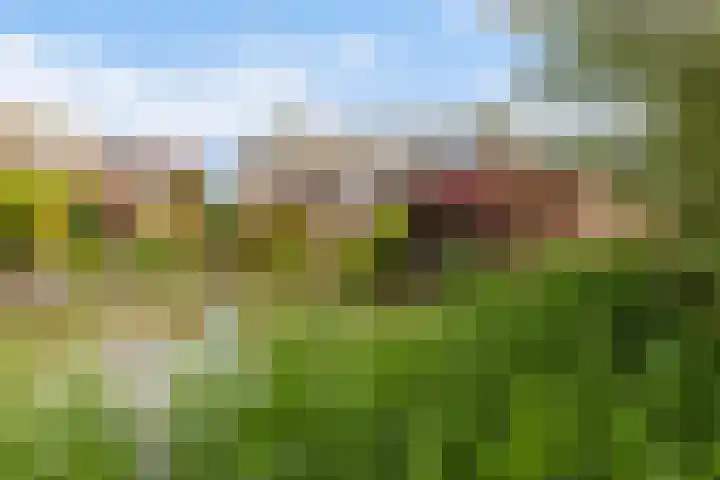 Componistenlaan 172 Gouda thumbnail 57