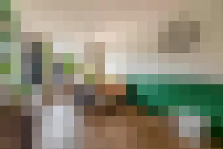Componistenlaan 37 Sint-Oedenrode thumbnail 10