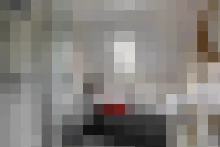 Componistenlaan 37 Sint-Oedenrode thumbnail 19