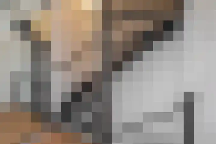 Componistenlaan 37 Sint-Oedenrode thumbnail 22
