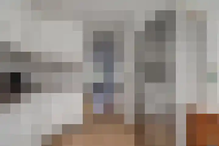 Componistenlaan 49 Gouda thumbnail 13