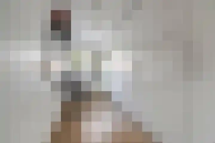 Componistenlaan 49 Gouda thumbnail 21