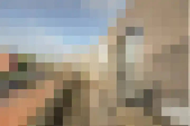 Componistenlaan 49 Gouda thumbnail 28
