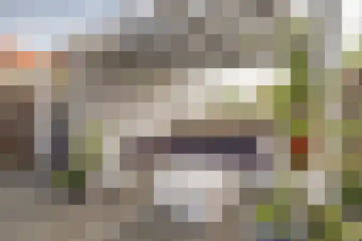 Componistenlaan 49 Gouda thumbnail 31