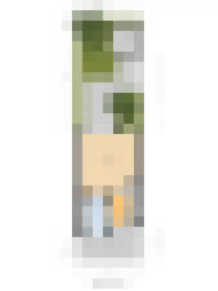 Componistenlaan 49 Gouda thumbnail 41