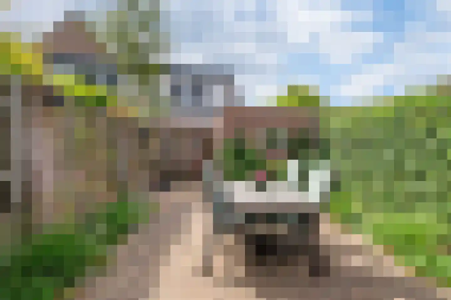 Componistenlaan 51 Sint-Oedenrode thumbnail 26