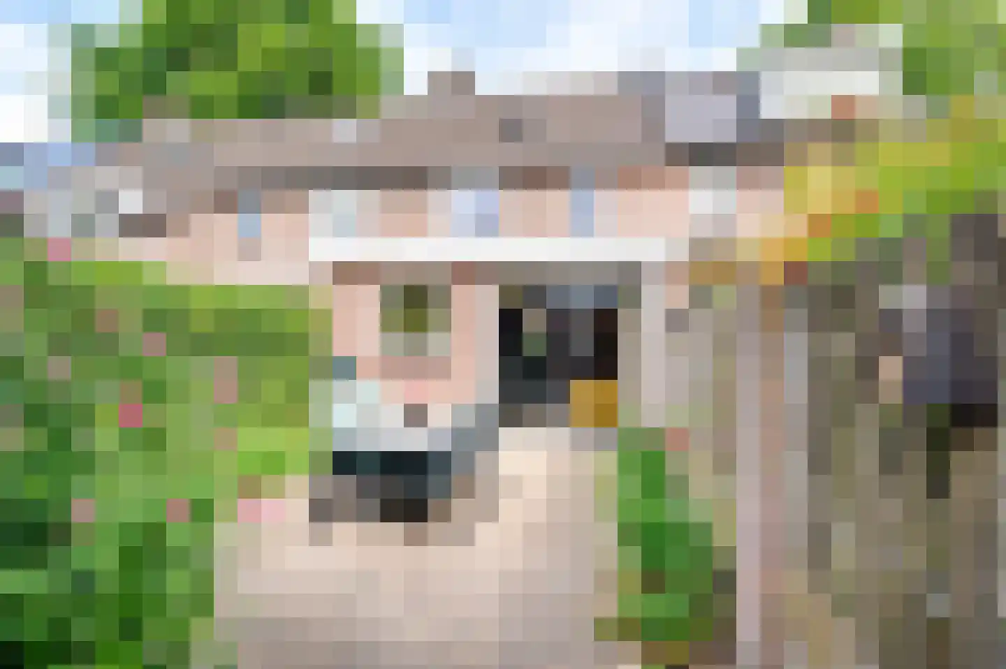 Componistenlaan 51 Sint-Oedenrode thumbnail 4