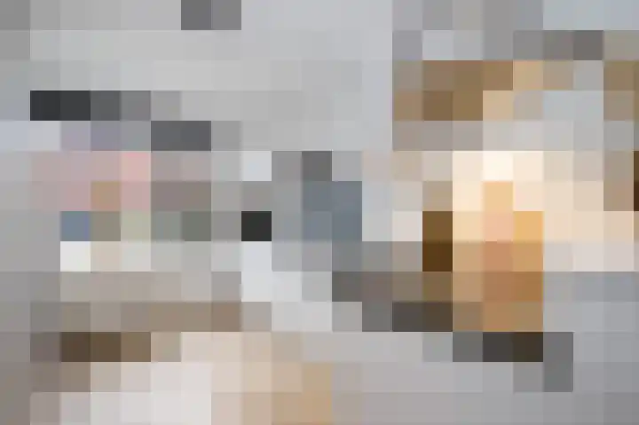 Componistenlaan 69 Gouda thumbnail 16
