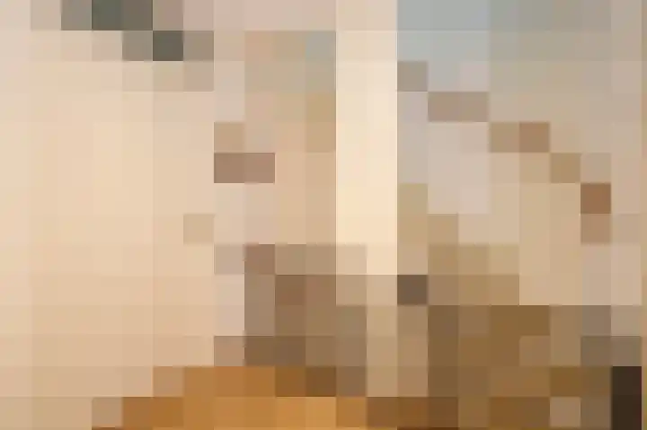 Componistenlaan 69 Gouda thumbnail 19