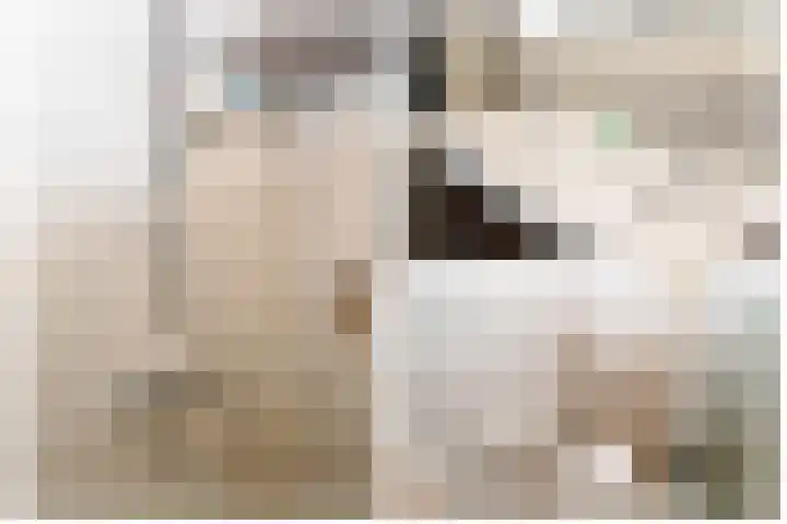 Componistenlaan 69 Gouda thumbnail 24