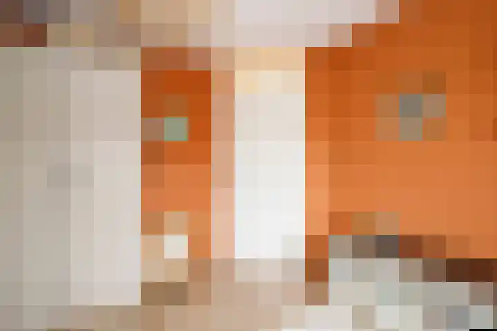 Componistenlaan 69 Gouda thumbnail 27
