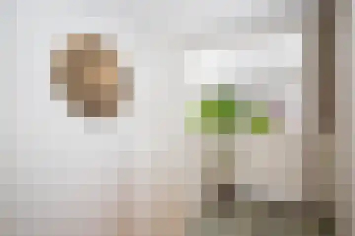Componistenlaan 69 Gouda thumbnail 28