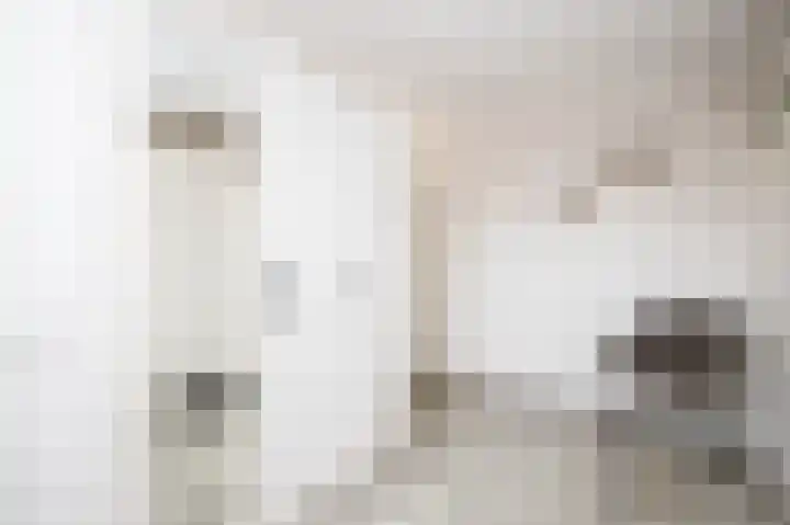 Componistenlaan 69 Gouda thumbnail 31