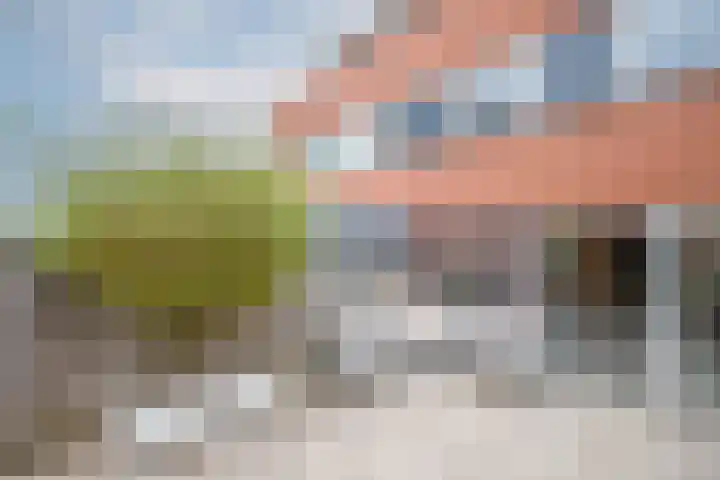 Componistenlaan 69 Gouda thumbnail 40